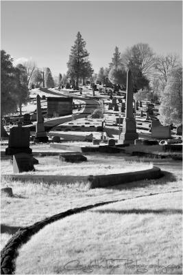 CRW_9217 copy.jpg