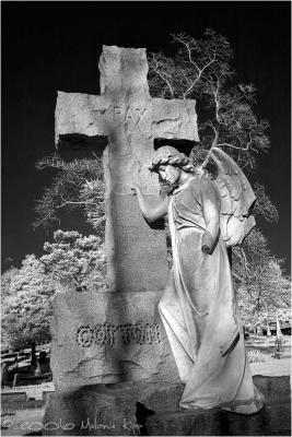 CRW_9221 copy.jpg