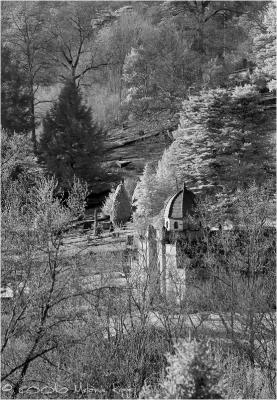 CRW_9225 copy.jpg
