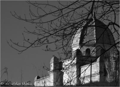 CRW_9226 copy.jpg