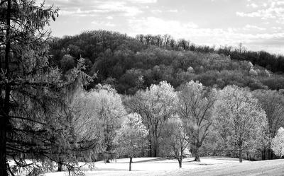 CRW_9230 copy.jpg