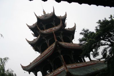 IMG_5005.JPG