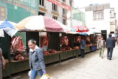 IMG_5249.JPG