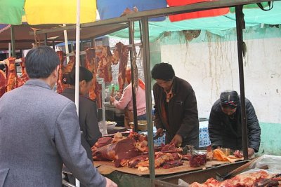 IMG_5250.JPG