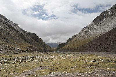 IMG_5415.JPG