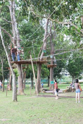 Forest Adventure