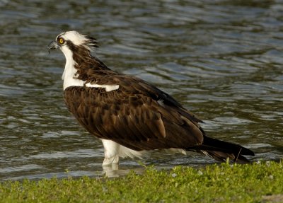 Lakes Park 3