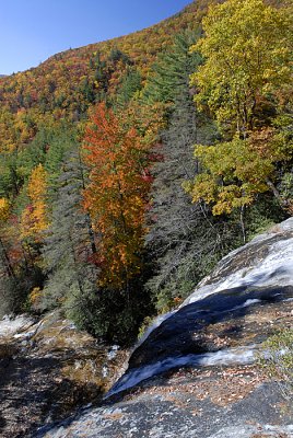 _DSC3766.jpg
