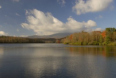_DSC4217.jpg