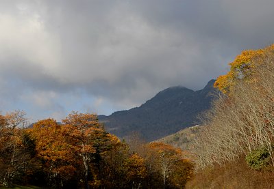 _DSC4225.jpg