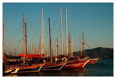 Sails boats at dusk