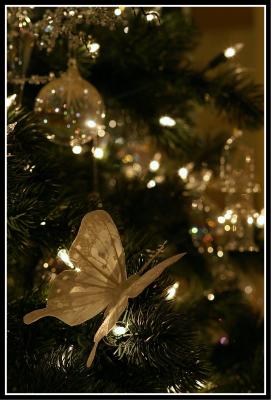 holiday05 butterfly.jpg