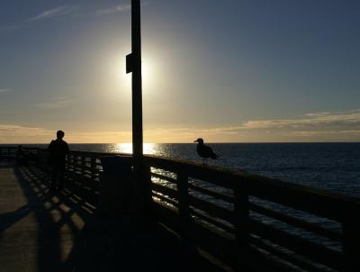 silhouette.jpg