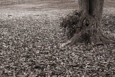 PICT6820.JPG