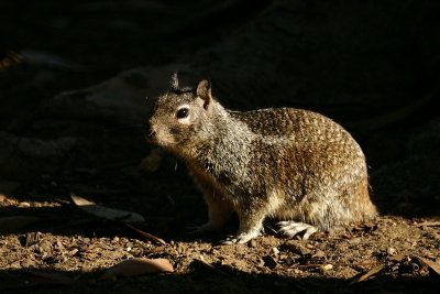 PICT7295.JPG