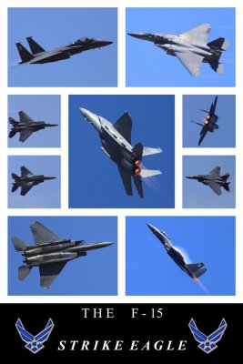 F15Collage.jpg