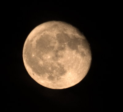 Luna P6034077.jpg