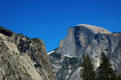 DSC_7462.jpg