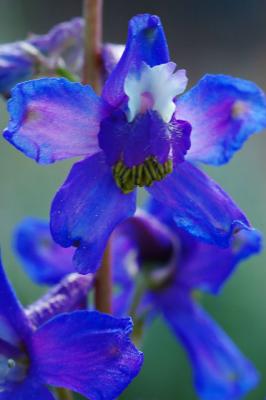 mt_whitneymono_lake