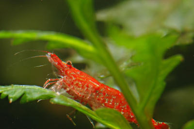 DSC_1970.jpg