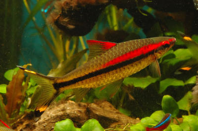 DSC_1979.jpg