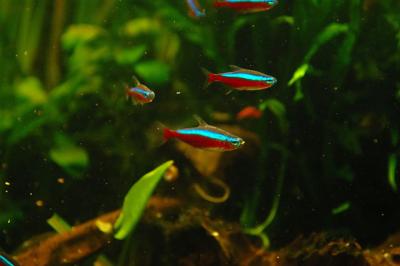 DSC_2014.jpg