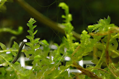 DSC_1946.jpg