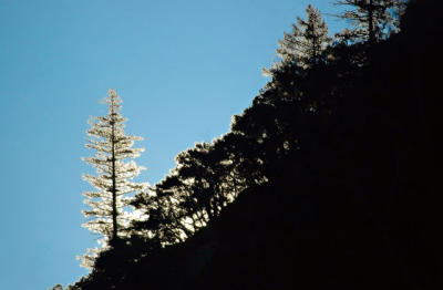 DSC_2142.jpg