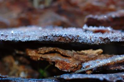 DSC_2198.jpg