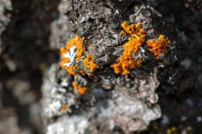 DSC_2228.jpg