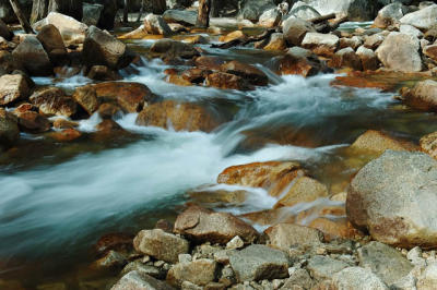 DSC_2278.jpg