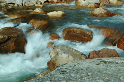 DSC_2288.jpg