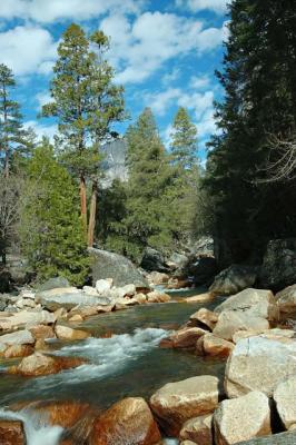 DSC_2289.jpg