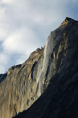 DSC_2336.jpg