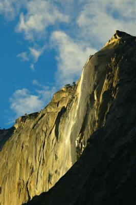 DSC_2337.jpg