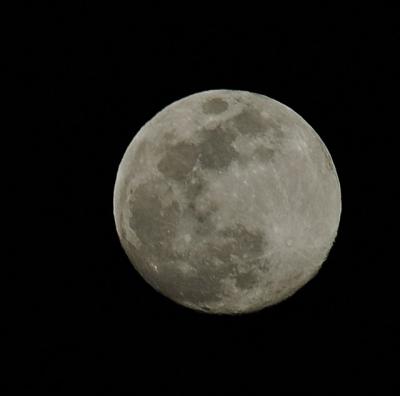 DSC_2397.jpg