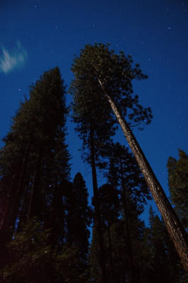 DSC_2412.jpg