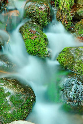 DSC_2599.jpg