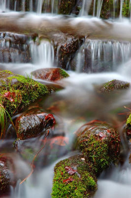 DSC_2612.jpg