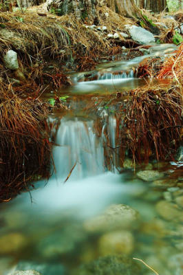 DSC_2672.jpg