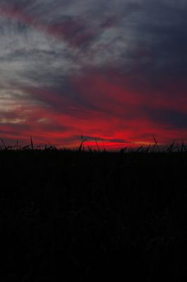 DSC_2734.jpg