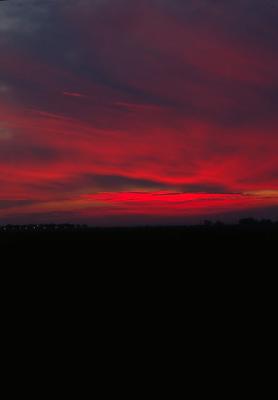 DSC_2735.jpg