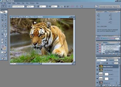 tigerwork.jpg