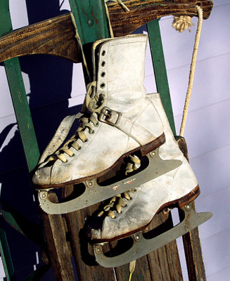 P1080638acrop web.jpg