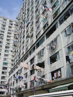 381_8121.JPG