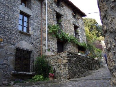 Beget