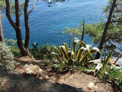 El Jardi Botanic de Cap Roig