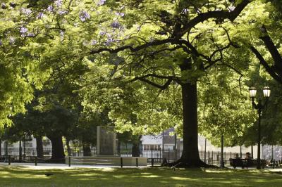 Leafy and tranquil Plaza San Martin