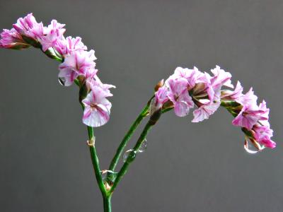 IMG_0010aaa.jpg