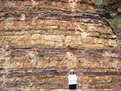 Gondwana strata